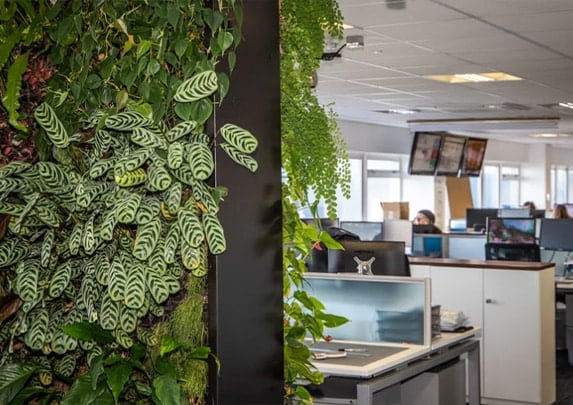 ▷ Oficinas de diseño biofílico ⭐ Oficinas inspiradas en la naturaleza | Spacio.es